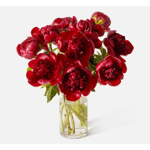 PeonyLove 1