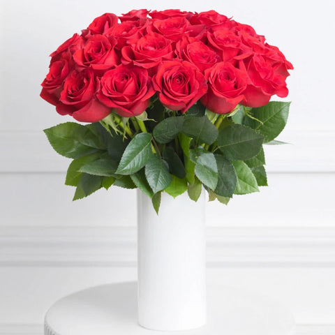 2 Dozen Red