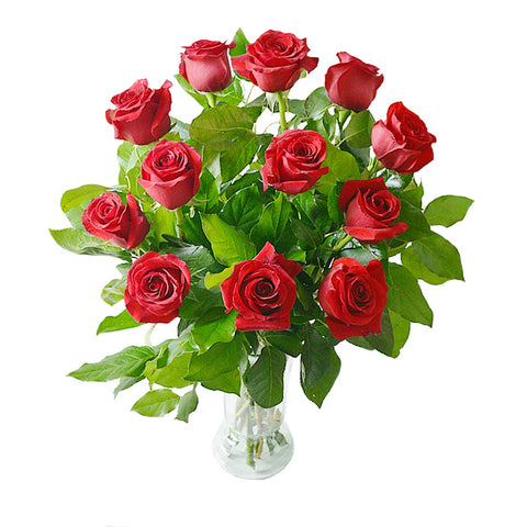 Dozen Fresh Long Stemmed Premium Roses