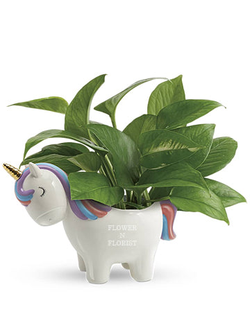 Unicorn