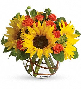 Sunny Sunflowers DX