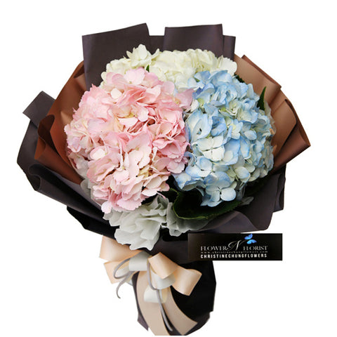 ♥ Hydrangea Day