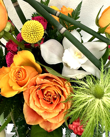 FlowerBox_C
